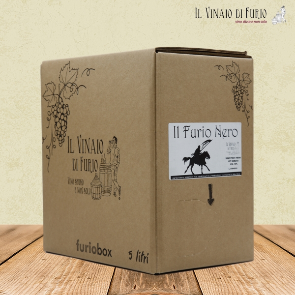 I.G.T. VENETO PINOT NERO “IL FURIO NERO” VOL 11%